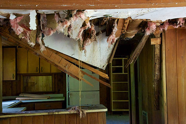 view of an old wood paneled kitchen in abandoned home with ceiling falling down