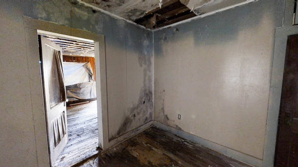 the on going renovation of the house